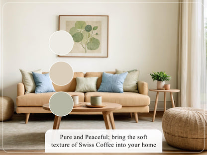 Swiss Coffee Benjamin Moore Paint Palette