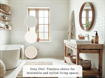 Gray Owl Paint Palette Benjamin Moore